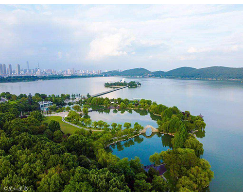 乐鱼直播官网_乐鱼(中国)官方